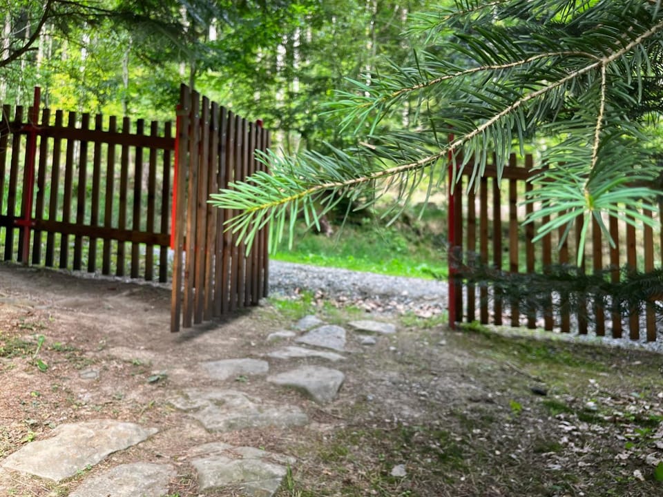Natural landscape, Garden