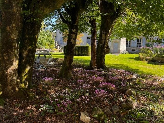 Chateau de Salorges - Farmgite Apartment in Bourgogne-Franche-Comté