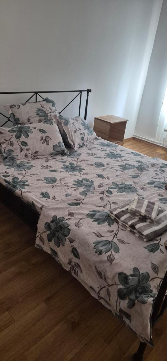 Retro apartament Apartment in Timiș County