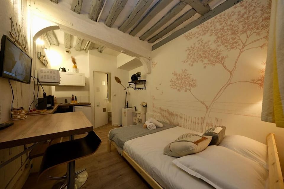 Rouen - Petit studio, hyper centre Apartment in Rouen