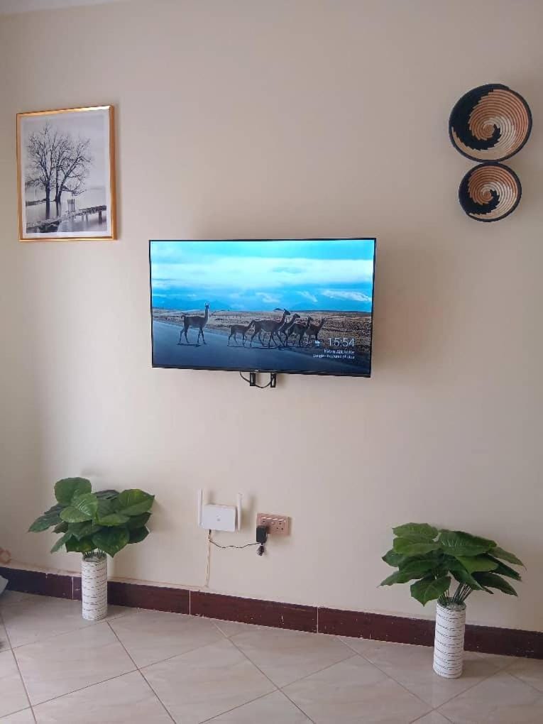 TV and multimedia