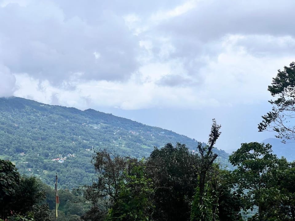 Day, Mountain view