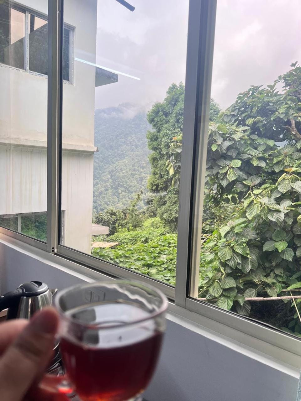 Day, Natural landscape, Food and drinks, Drinks