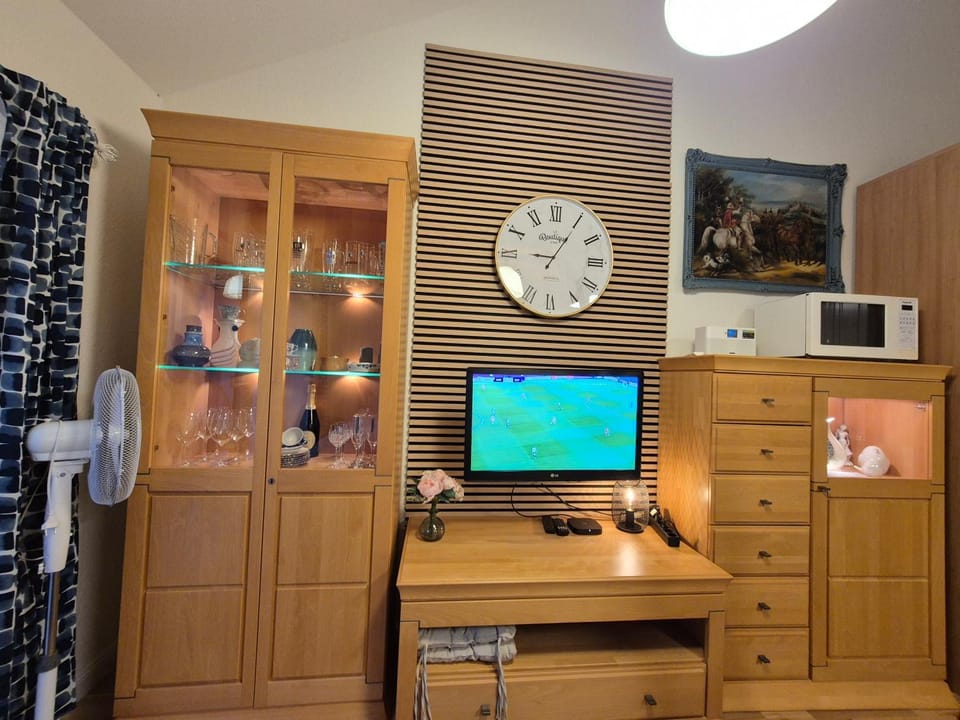 TV and multimedia
