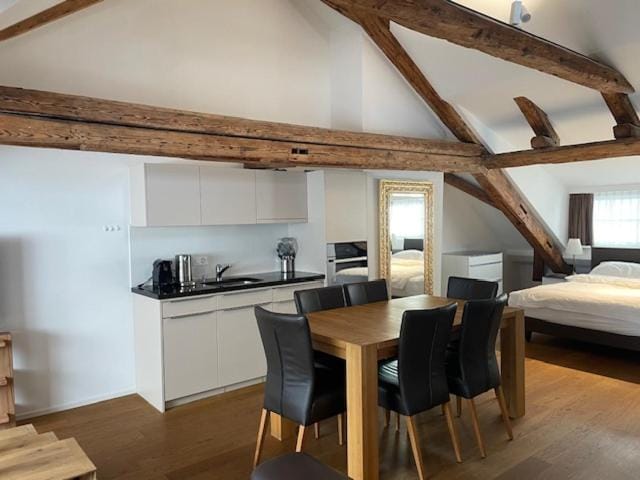 Penthouse Zürich City Apartment in Zurich City