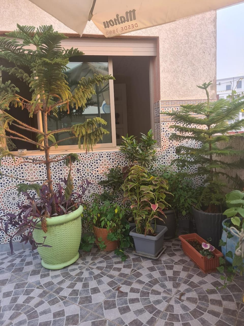 appartement charmant avec terrasse Apartment in Tangier