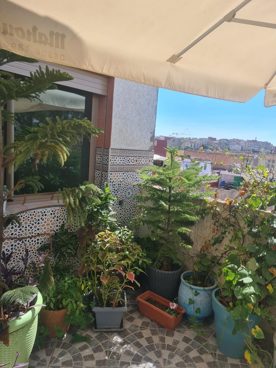 appartement charmant avec terrasse Apartment in Tangier