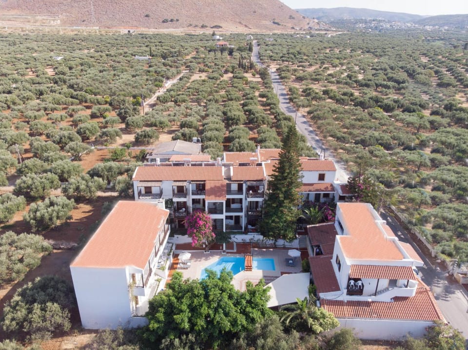 Property building, Bird's eye view