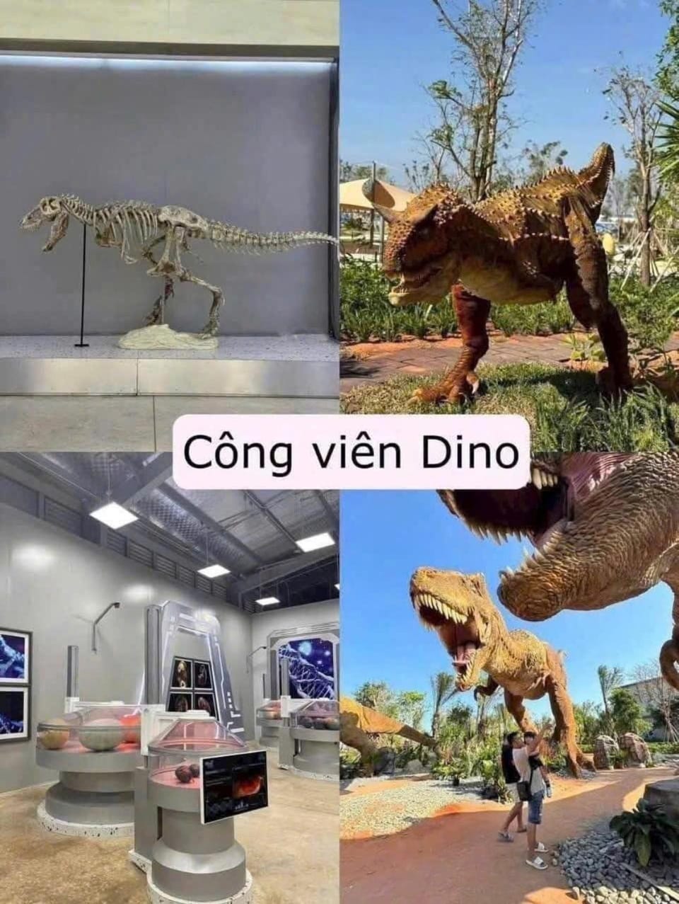 Villa 04 bedrooms Novaworld Phan Thiết Villa in Phan Thiet