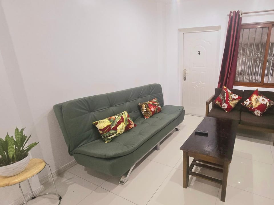 CBD Entire Apartment, Double bed and sofa bed, free wifi, parking Apartment in Suva