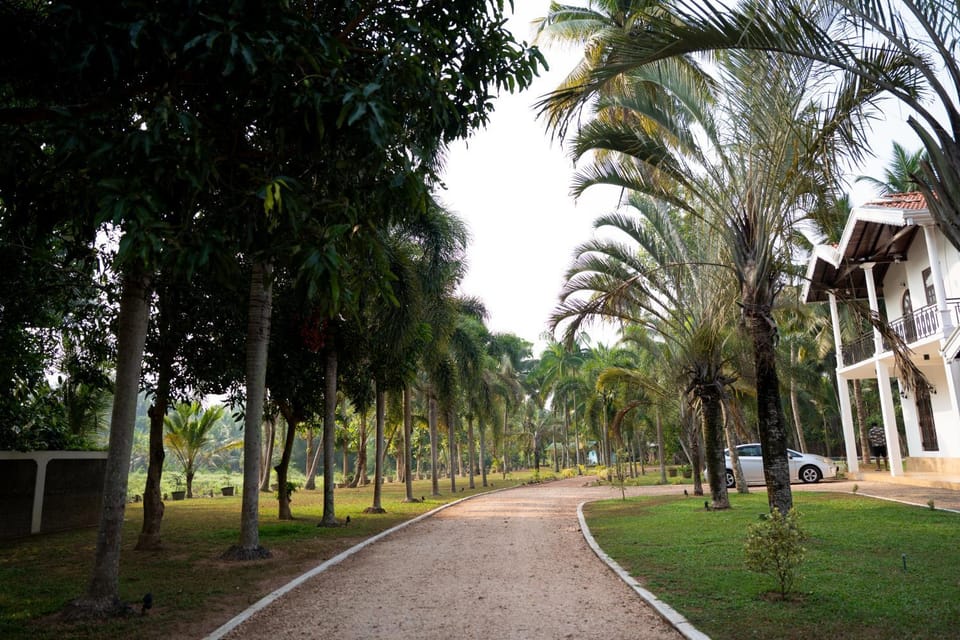 Villa Di Angelo Negombo Hotel in Central Province