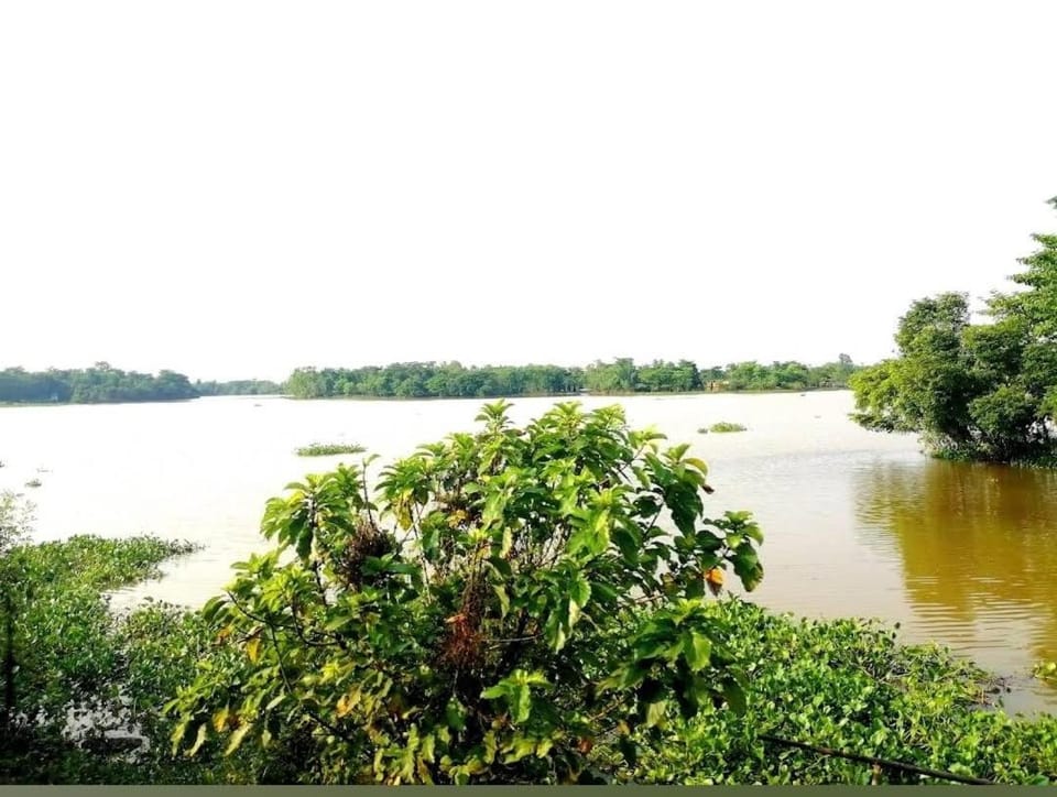 Natural landscape