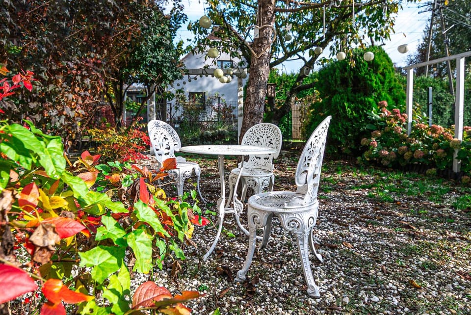 Patio, Day, Garden, Other, Other, Other, Dining area, Autumn, Garden view