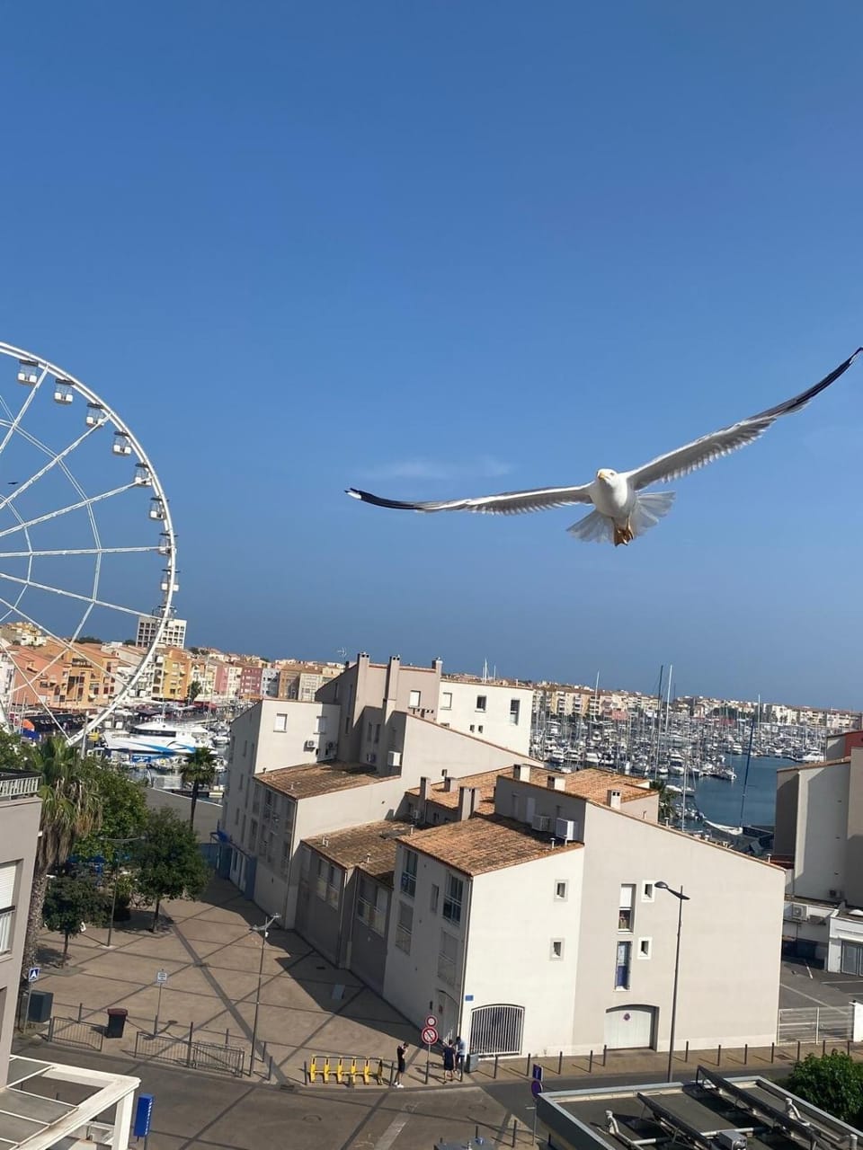 T2 Apartment, Sea View, Terrace Apartment in Agde