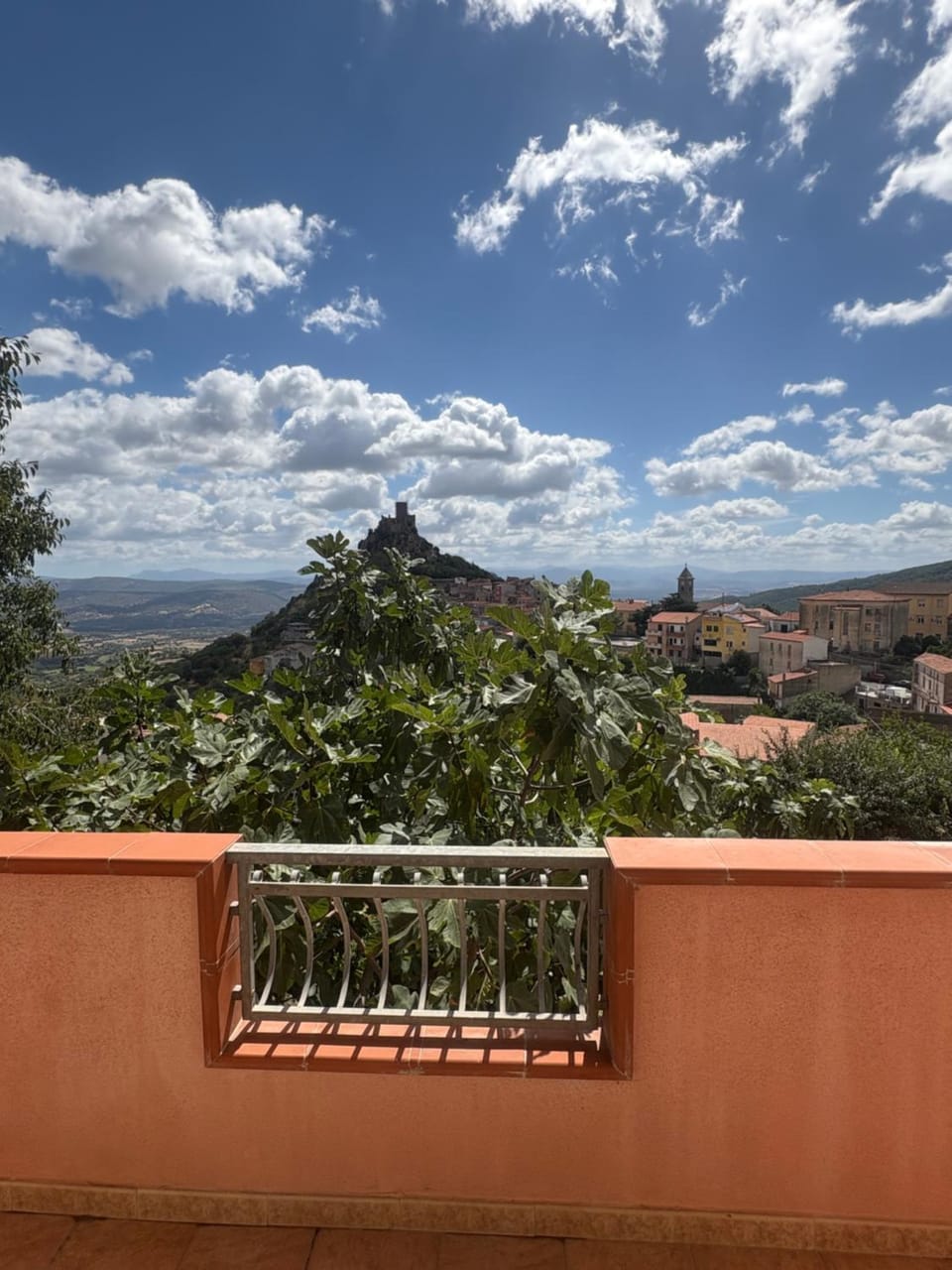 Balcony/Terrace