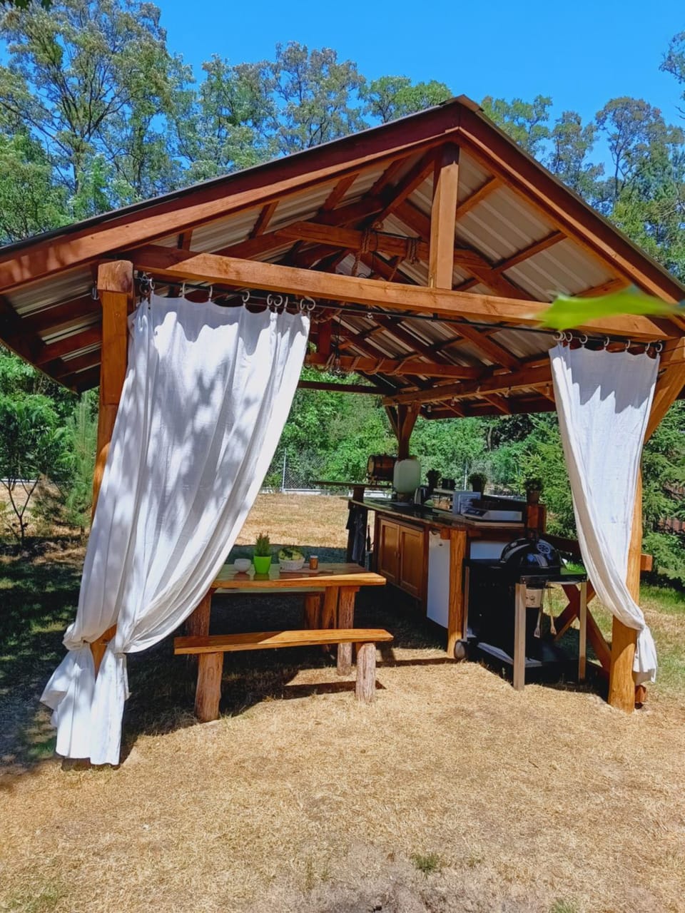 Day, Garden, Garden view