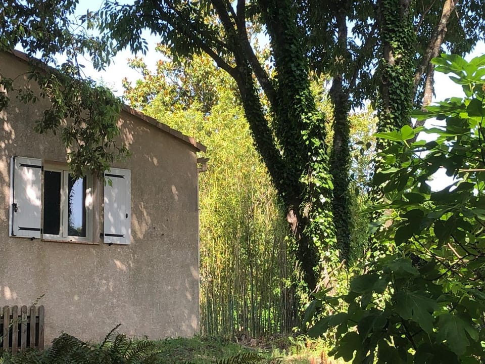 Pleasant house close to Anduze House in Anduze