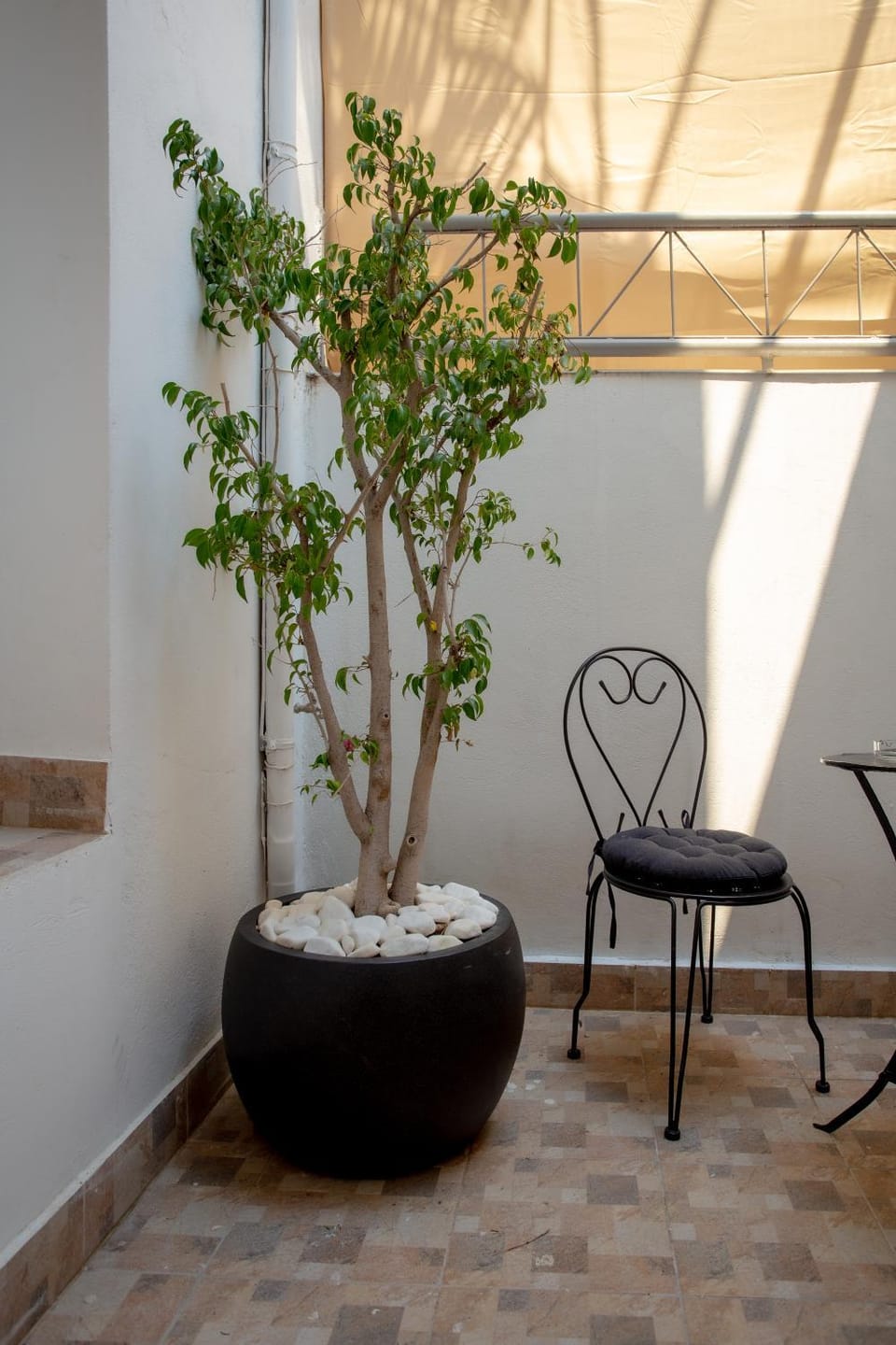 Seating area, Garden view
