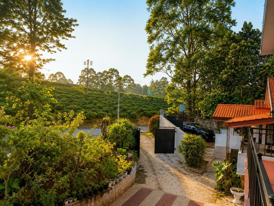Property building, Restaurant/places to eat, Swimming pool, Breakfast