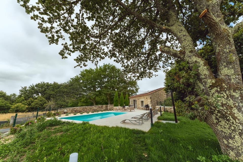 Garden, Swimming pool, sunbed