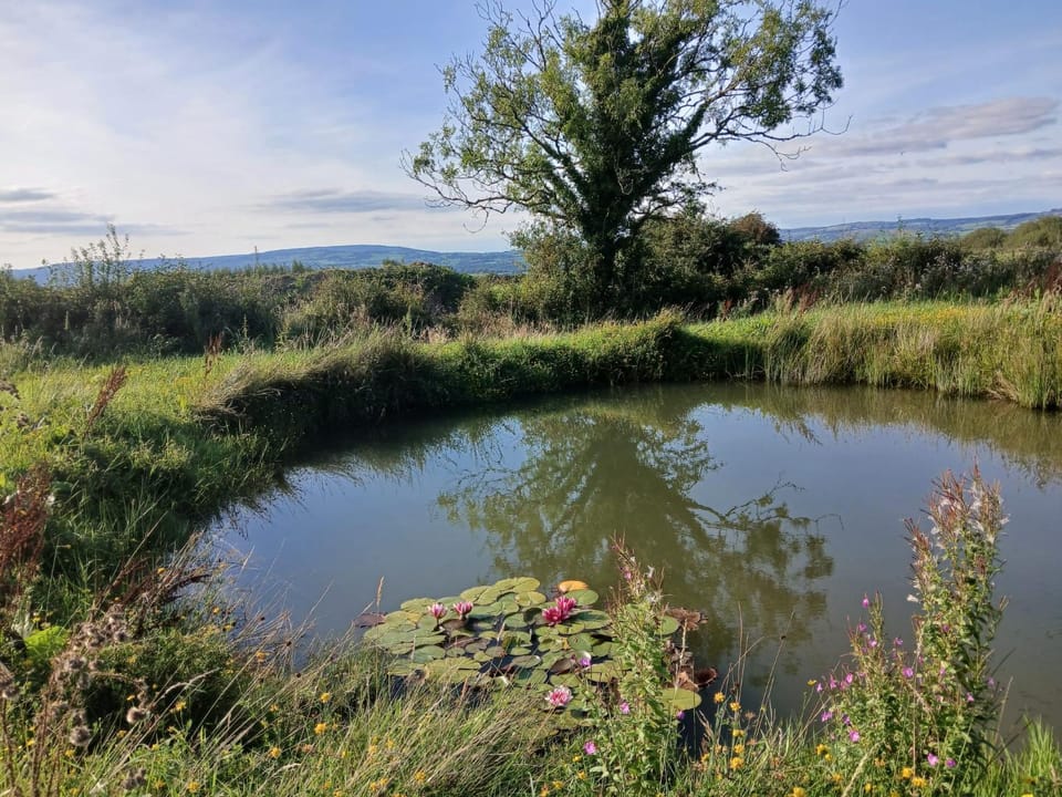 Natural landscape