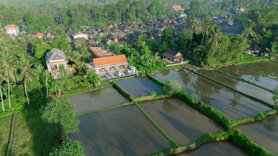 Natural landscape, View (from property/room)