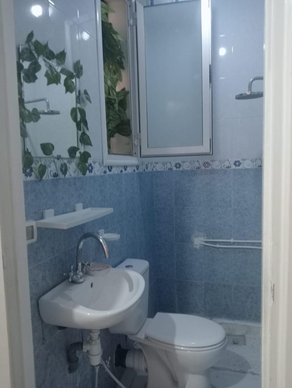 Calm & Cozy in the heart of tunis Apartment in Tunis