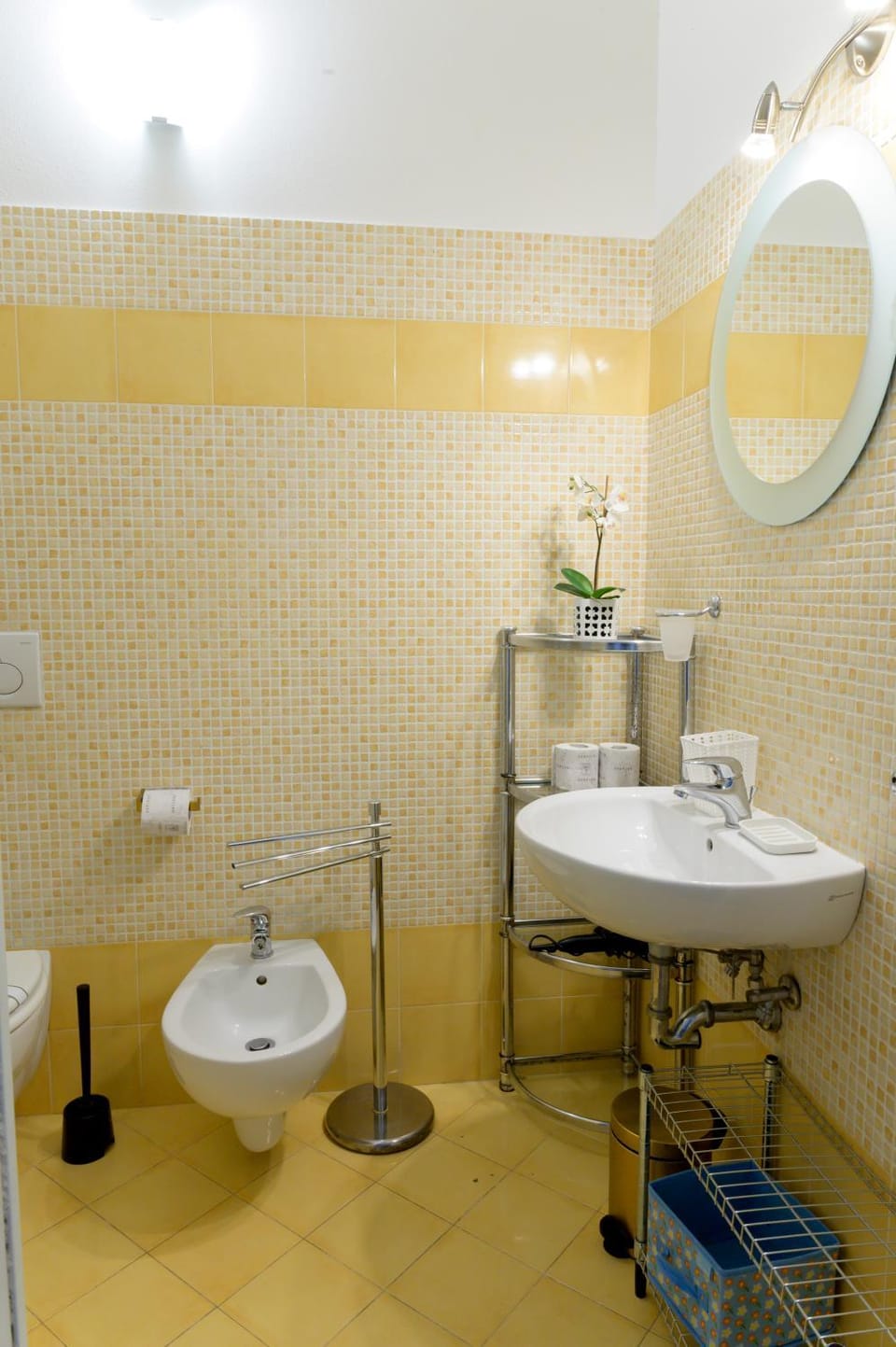 Shower, Toilet, Bathroom, bidet