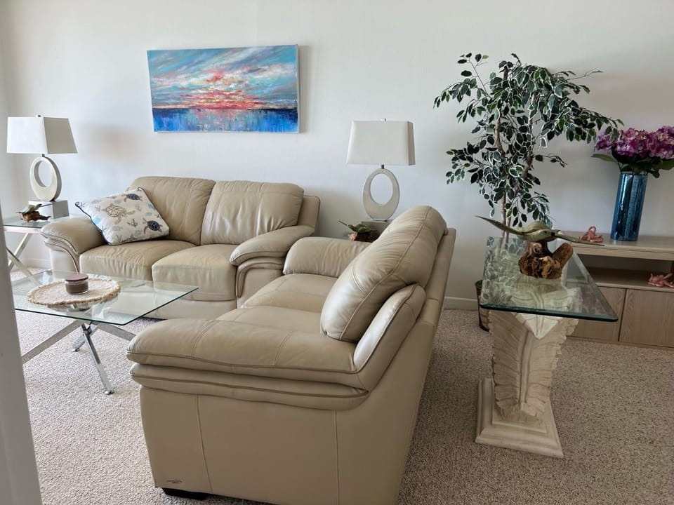 Hamilton House 301 Apartment in Indian Rocks Beach