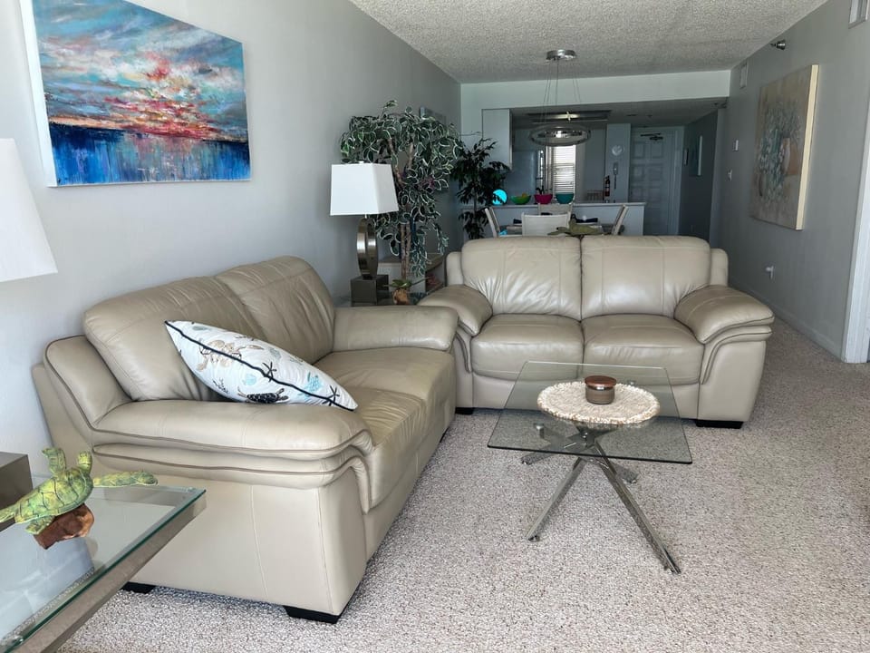 Hamilton House 301 Apartment in Indian Rocks Beach