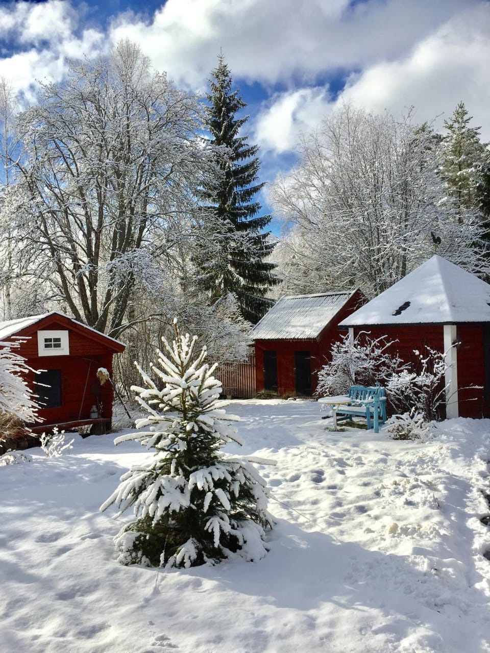 Garden view