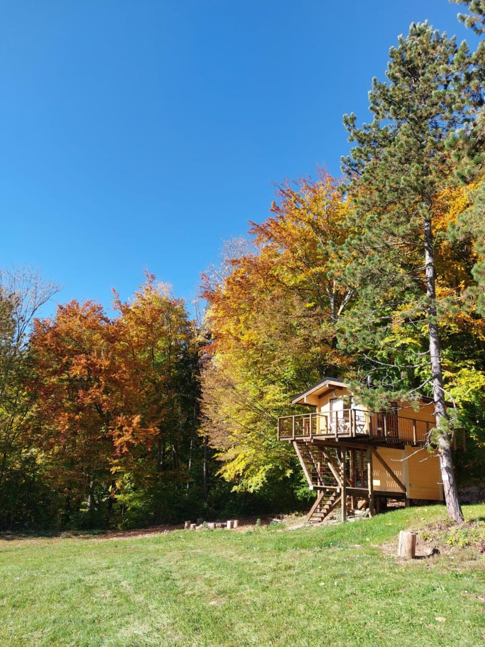 Treetop Tiny House Pod Korunami Campground/ 
RV Resort in Slovakia