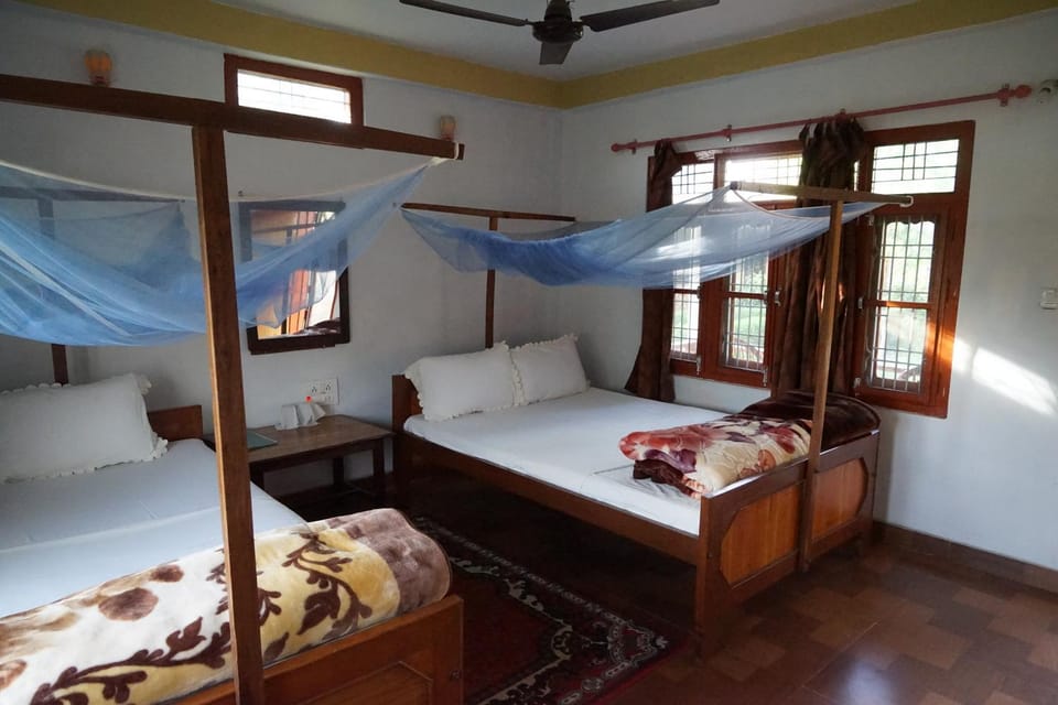 Bed, Photo of the whole room