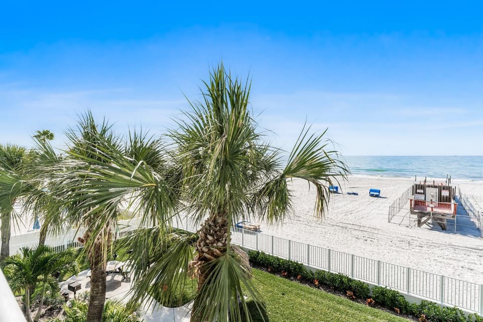 Day, Natural landscape, Garden, Beach