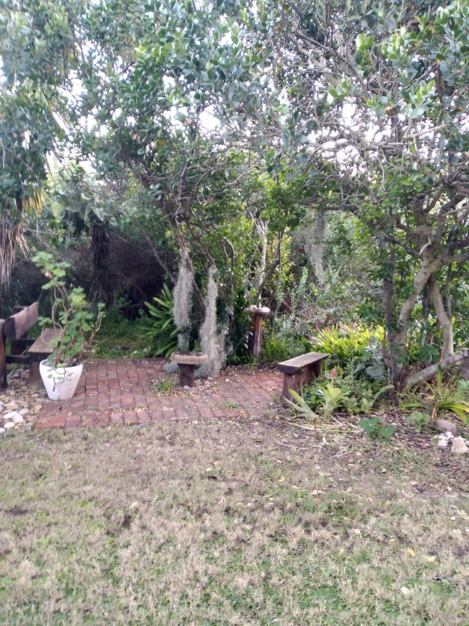 Garden view