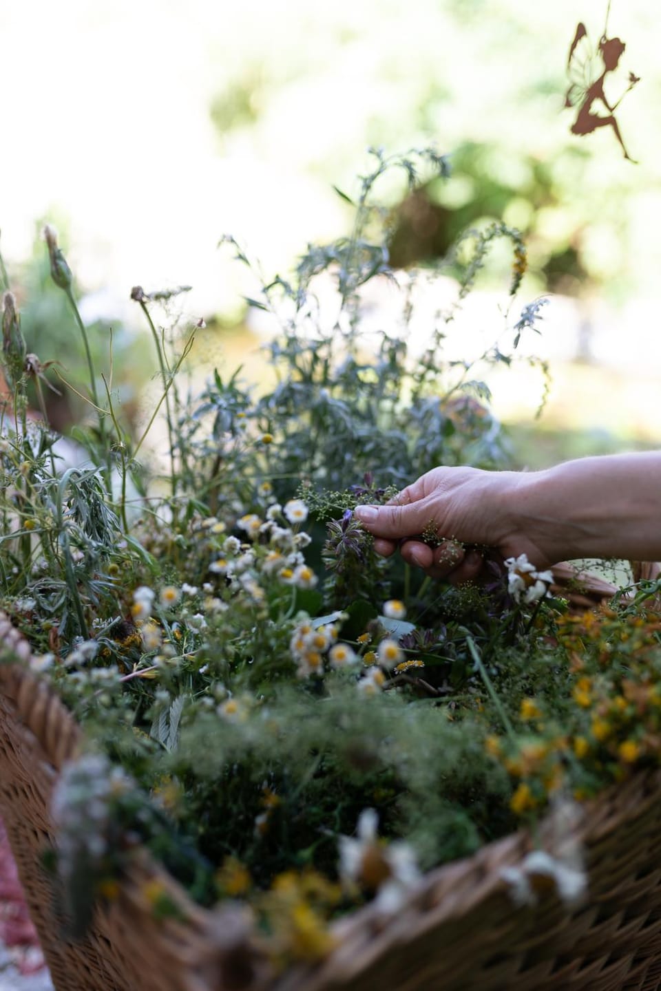 Logo/Certificate/Sign