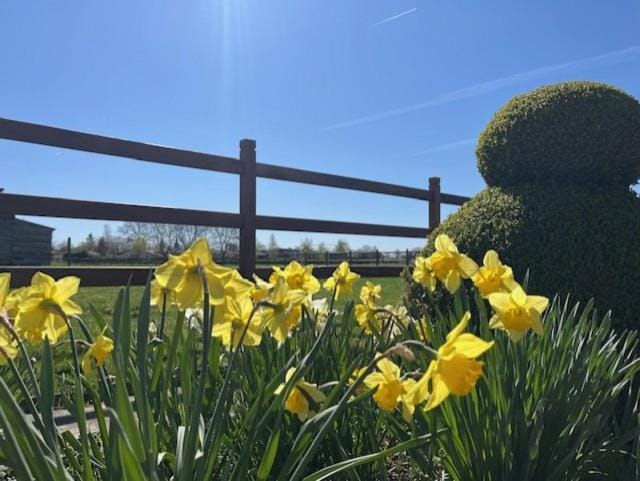 Garden view