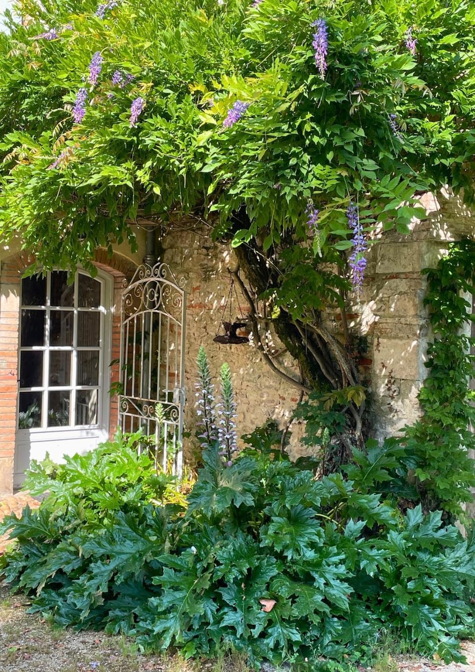 Property building, Day, Garden