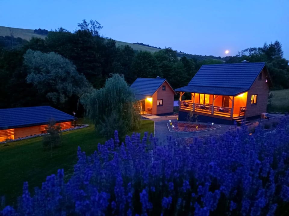 Agroturystyka Lawendowa Dolinka Domki Beskid Niski House in Poland