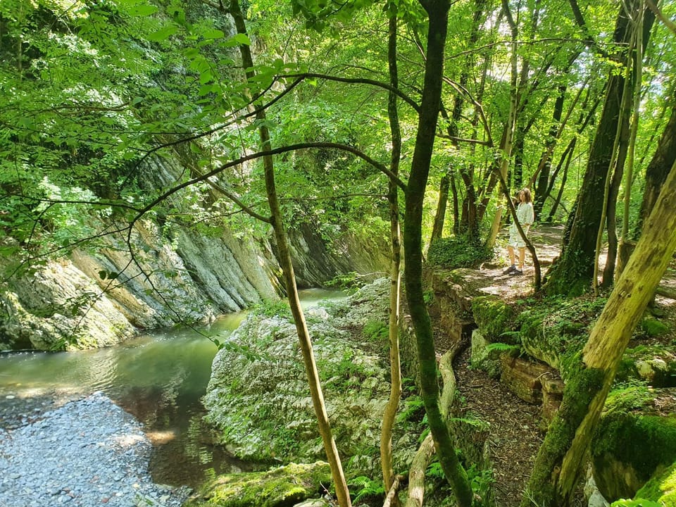 Natural landscape