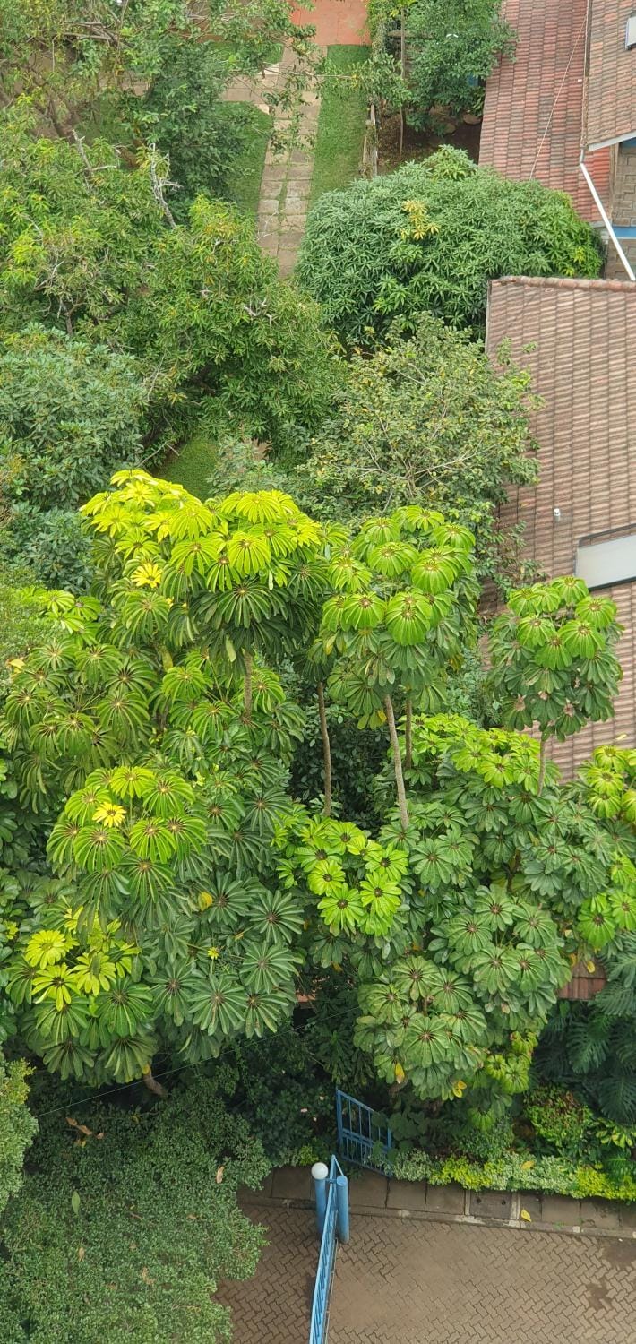 Silver Stays Kilimani Apartment in Nairobi County