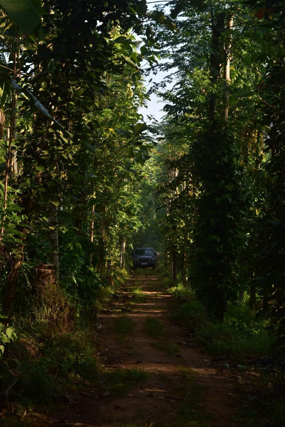 Natural landscape