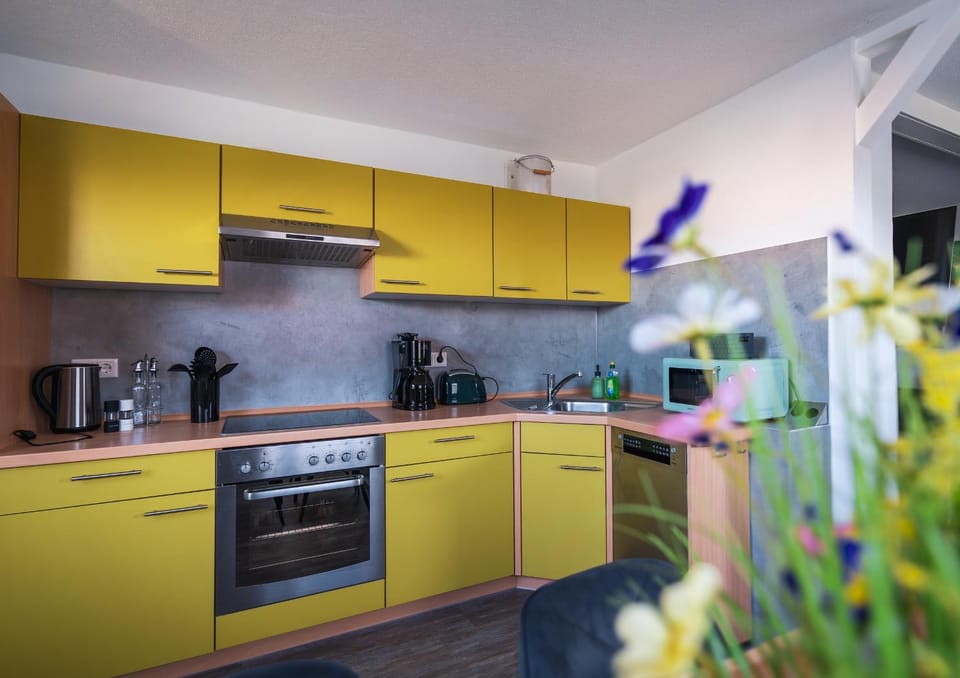 Kitchen or kitchenette, dishwasher, oven, stove