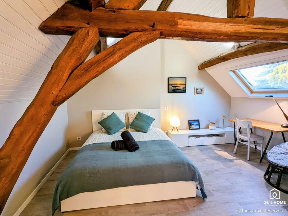 Bed, Photo of the whole room, Seating area, Bedroom, storage