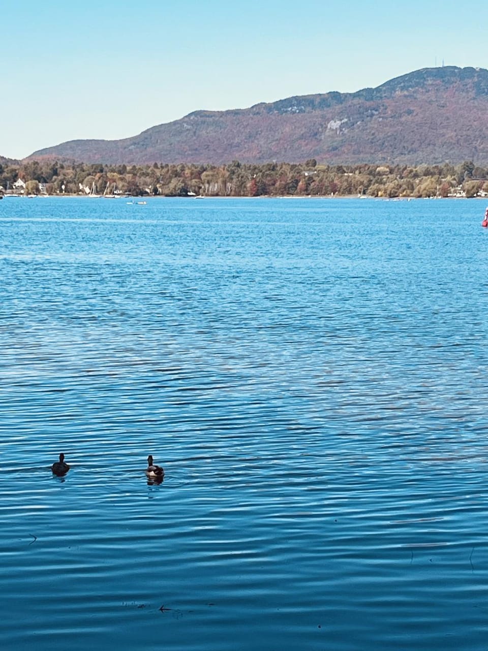 Property building, Lake view, Mountain view