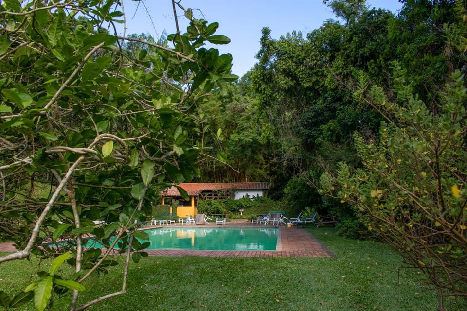 Garden, Pool view, Swimming pool