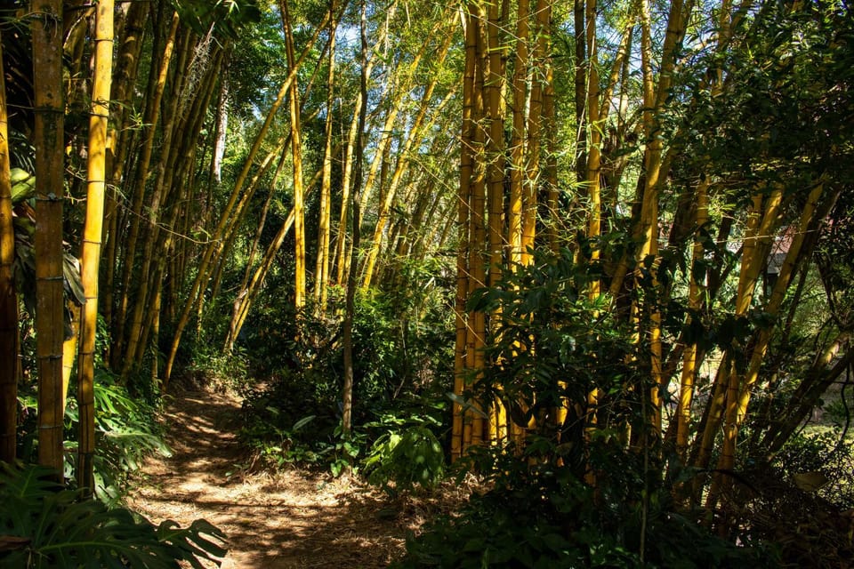 Natural landscape, Hiking