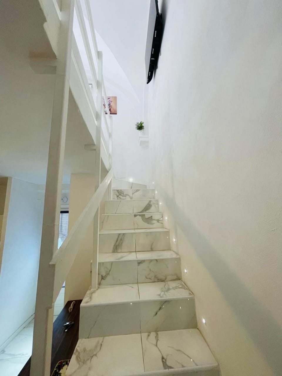 Loft Flower Colosseum Apartment in Rome