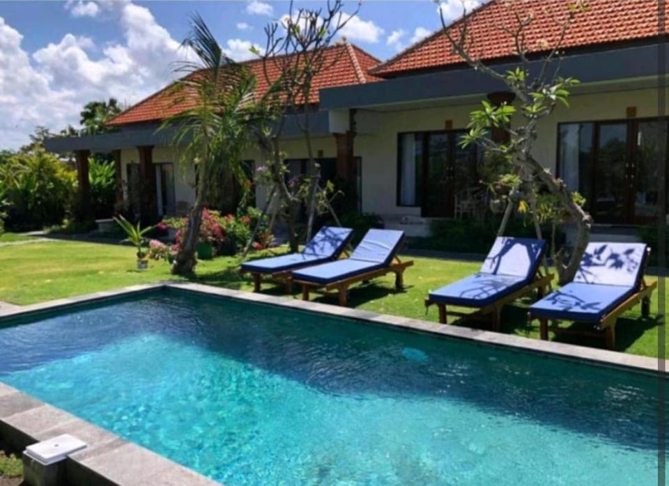 Garden, Swimming pool, sunbed