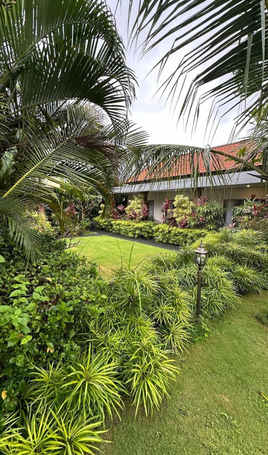 Natural landscape, Garden, Garden view